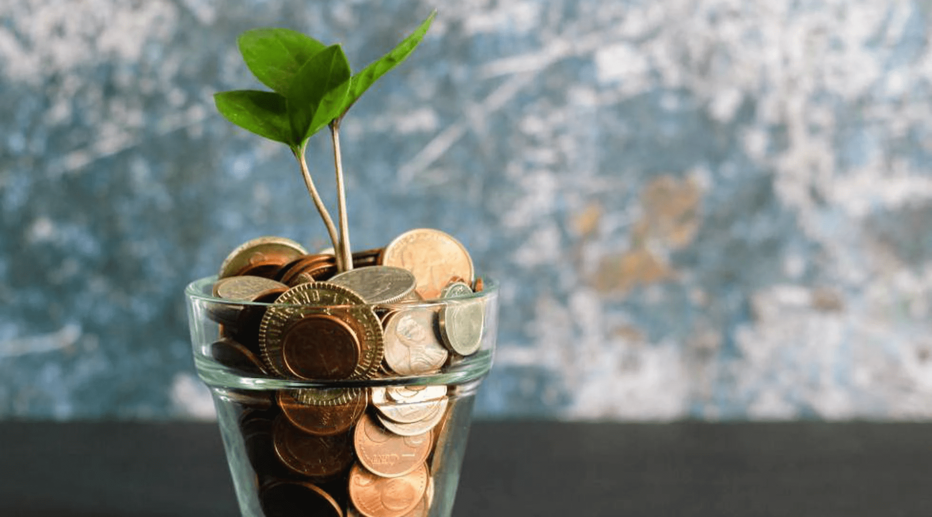 Gestão em Saúde: como reduzir o desperdício e investir de modo mais inteligente