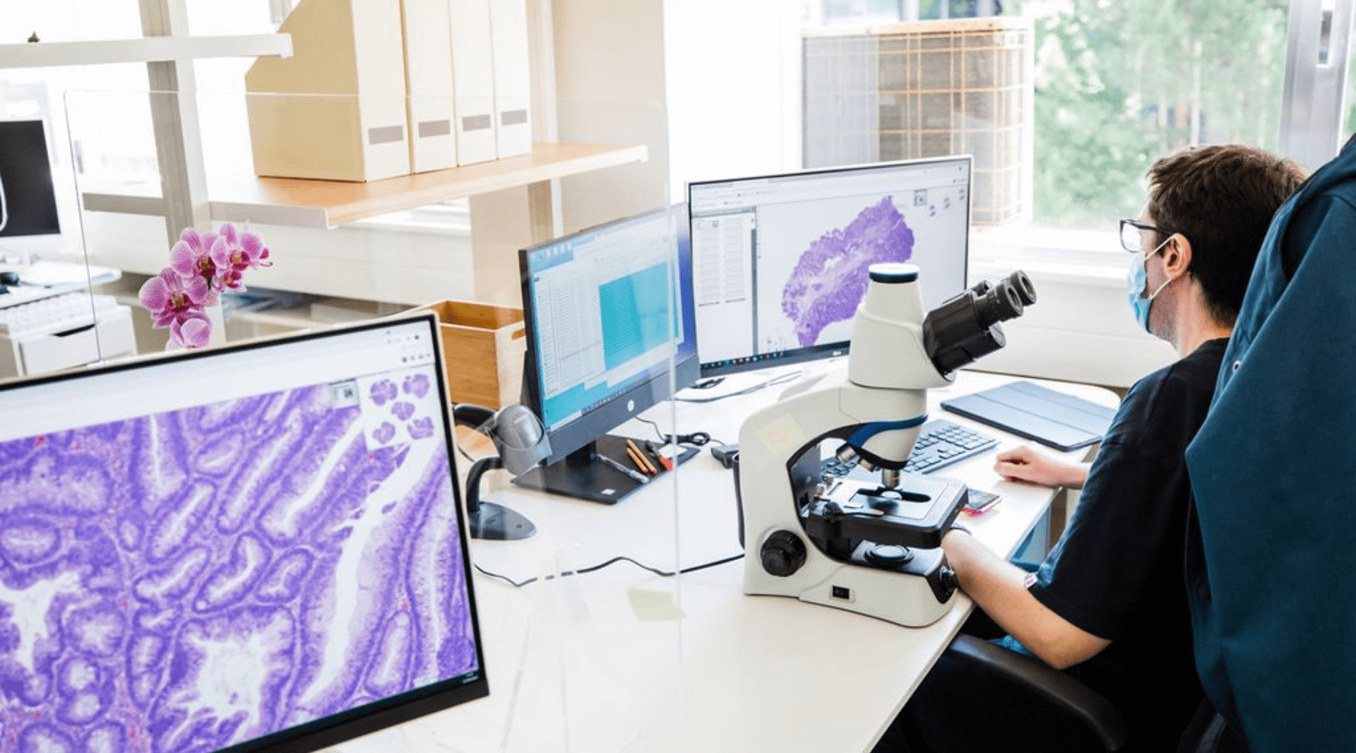 Patologia digital: sinônimo de precisão em sistema para laboratório